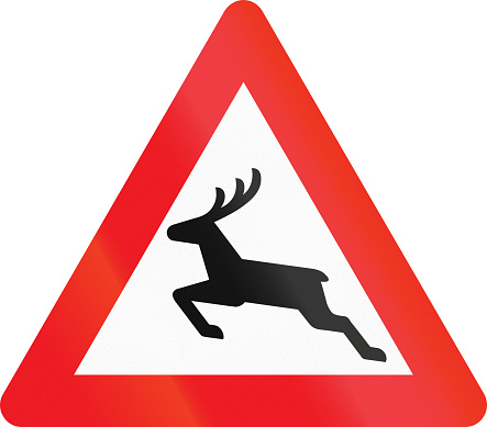 warning-road-sign-used-in-denmark-deer